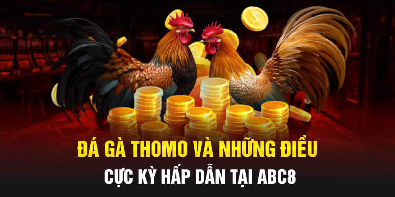 Đá Gà Thomo Và Những Điều Cực Kỳ Hấp Dẫn Tại Abc8