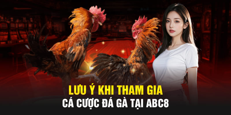 Lưu ý khi tham gia cá cược đá gà tại Abc8