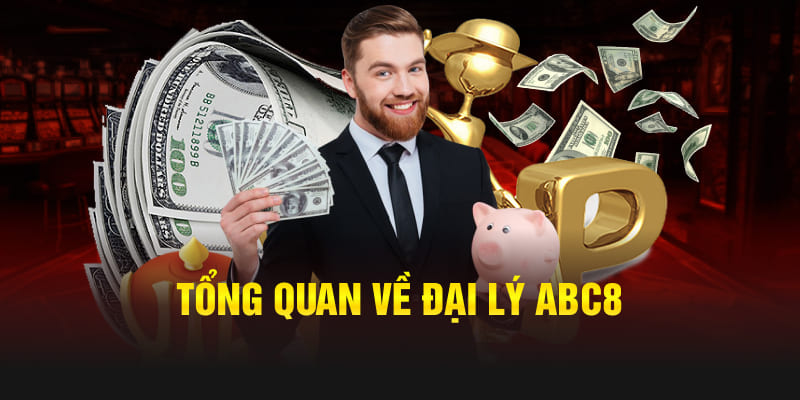 Tổng quan về Đại lý Abc8