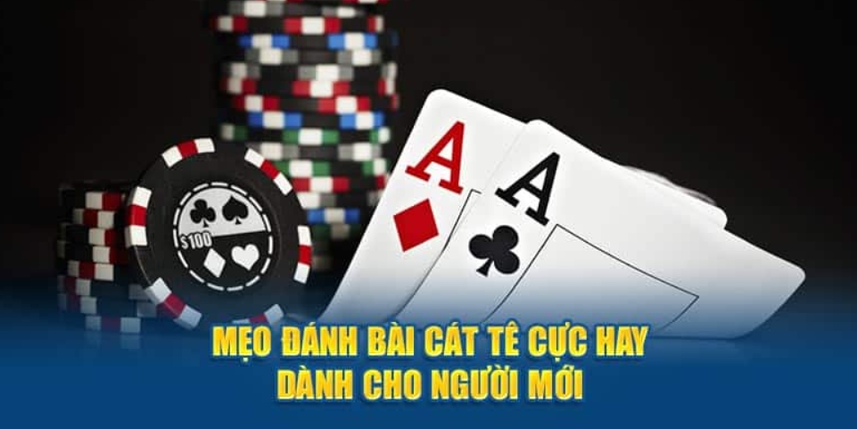 Cách Chơi Bài Catte Hủy Diệt Đối Thủ 99,999%